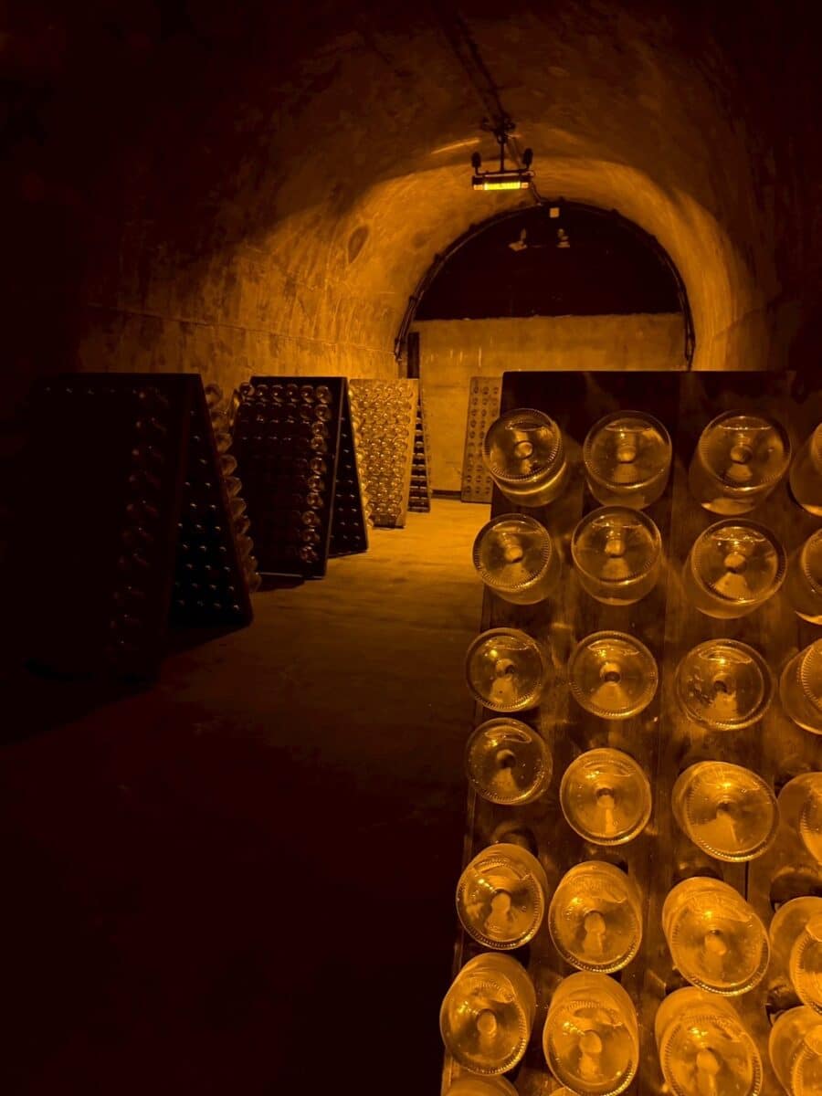 フランス旅、2日目 5 line oa chat 251114 204440