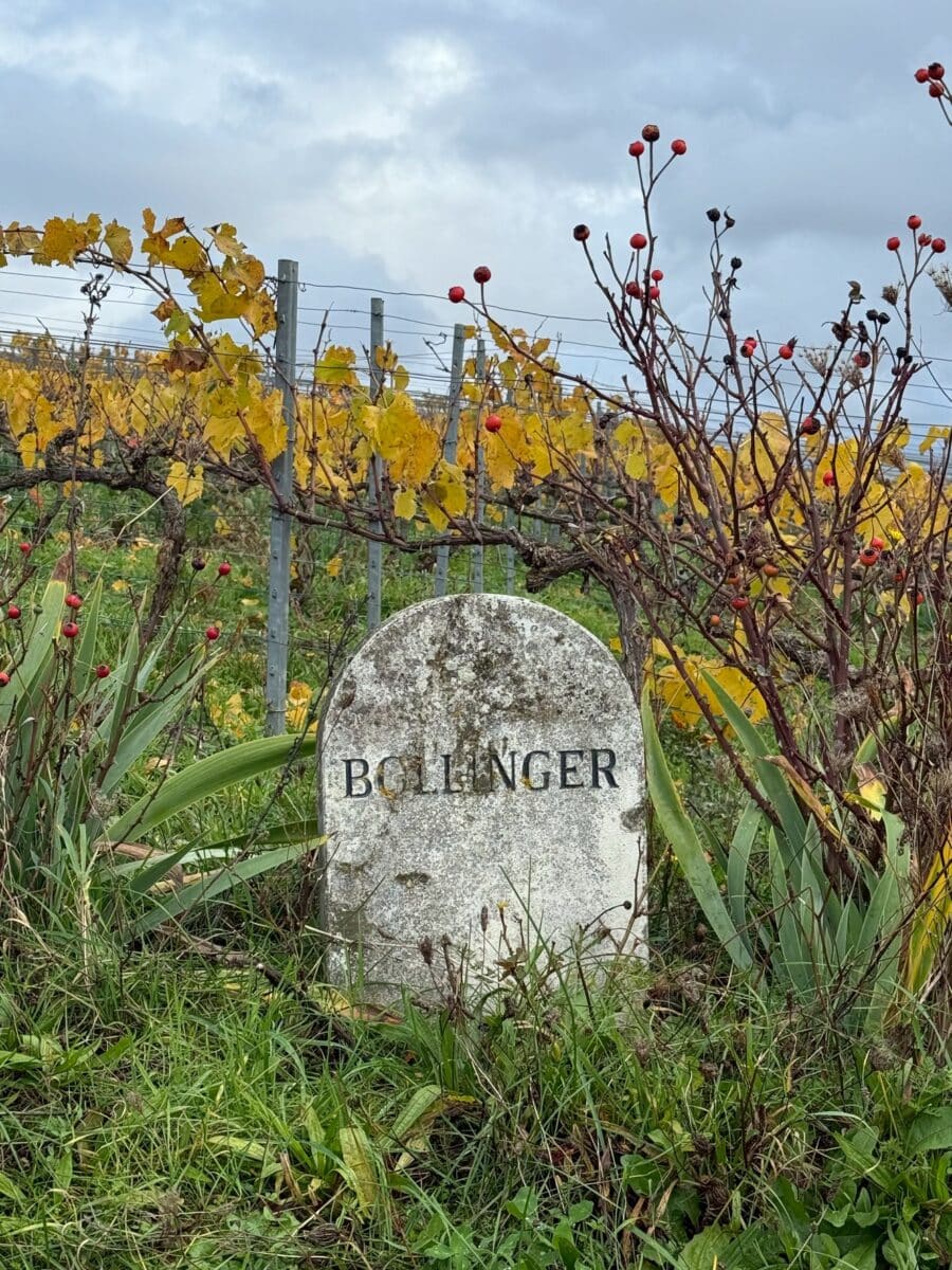 フランス3日目、アンリジロー訪問 8 line oa chat 251123 193922