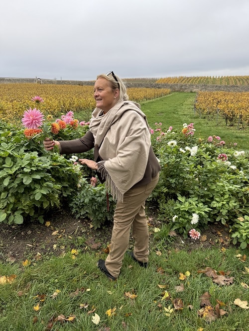 1a7cd804c93d3e11cc98a90daf00f179