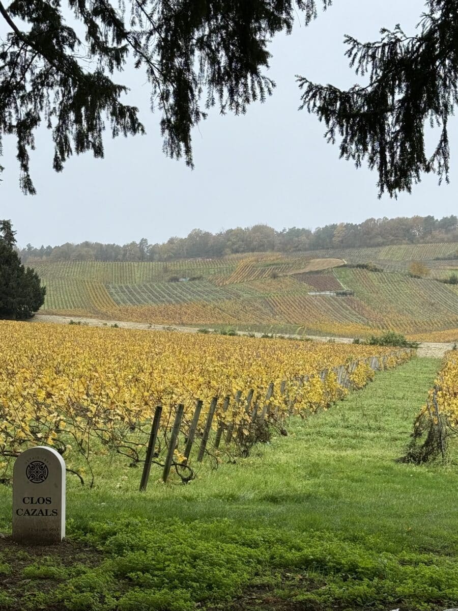 line oa chat 260104 150513