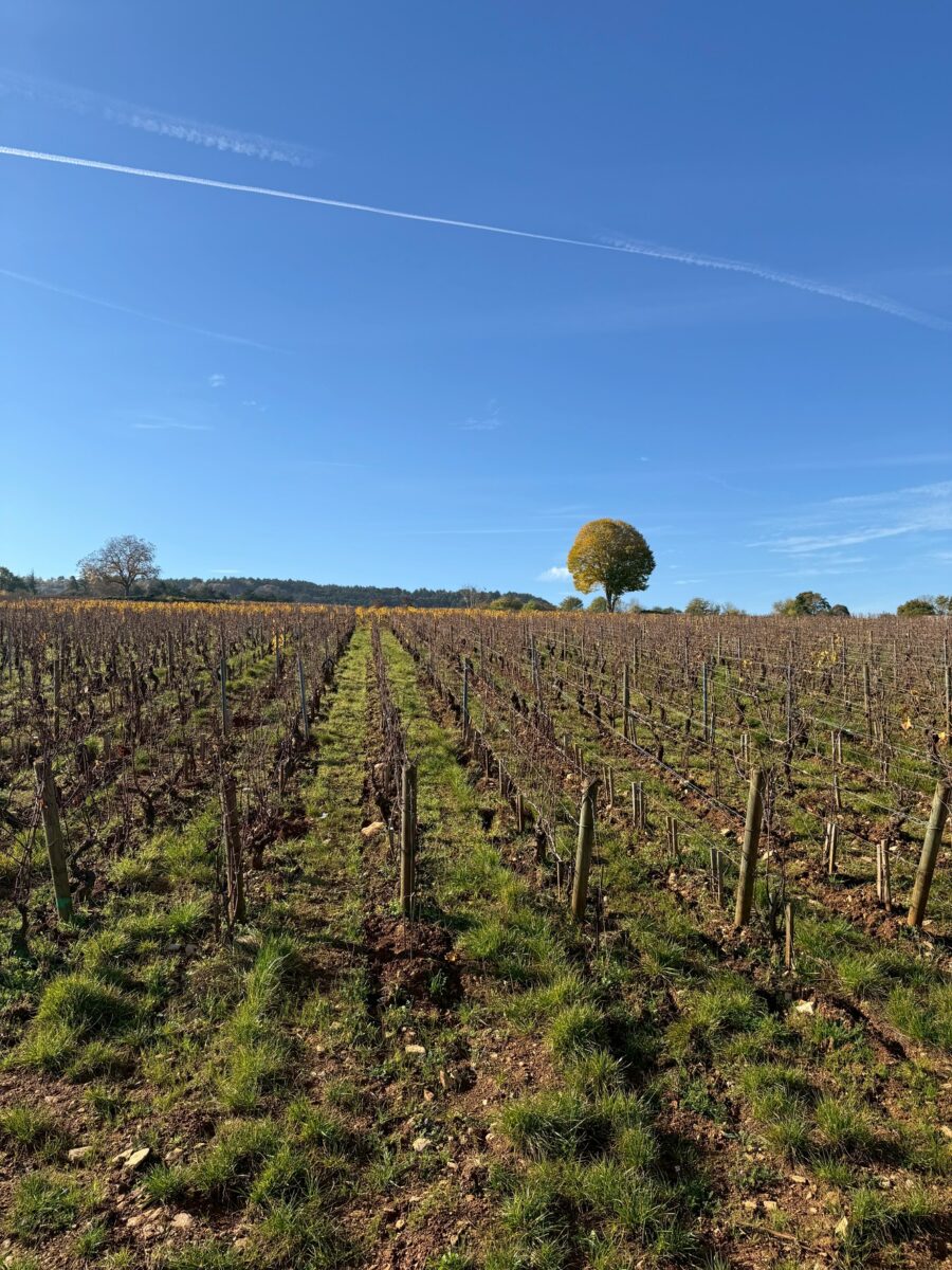 line oa chat 260105 102716