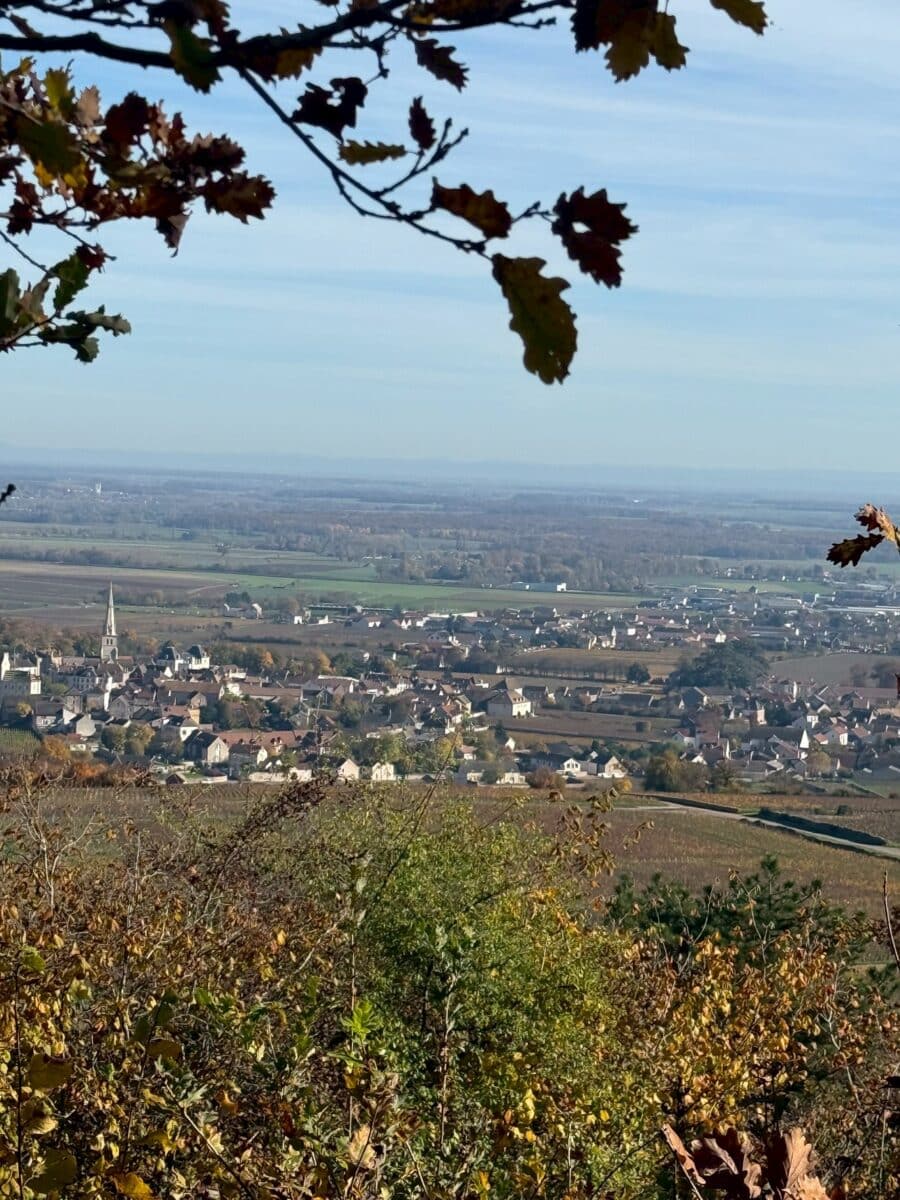 line oa chat 260105 102720