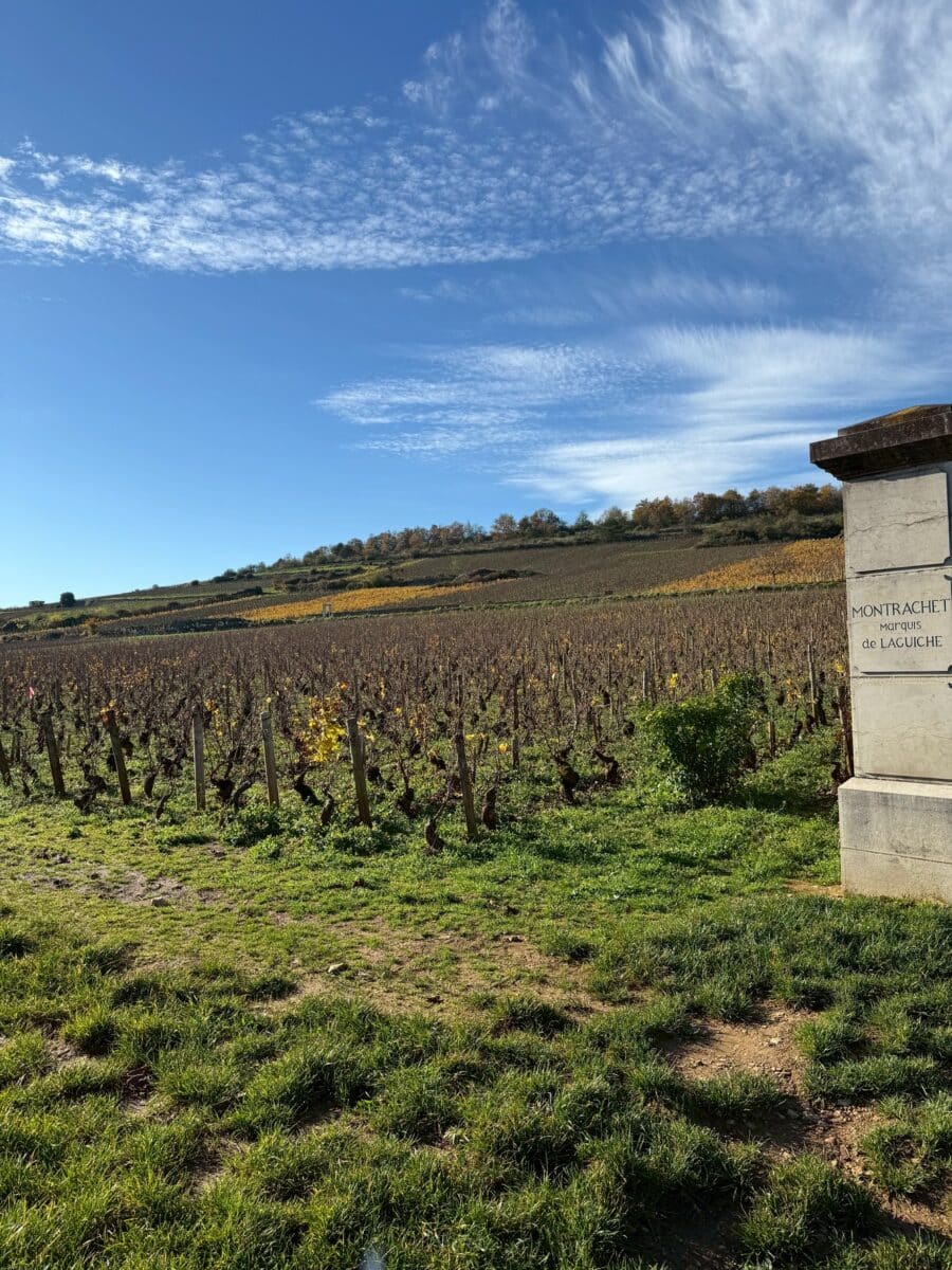 line oa chat 260111 095921