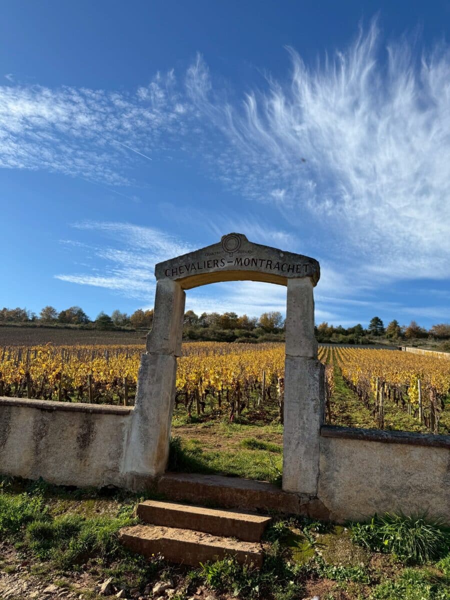 line oa chat 260111 095927