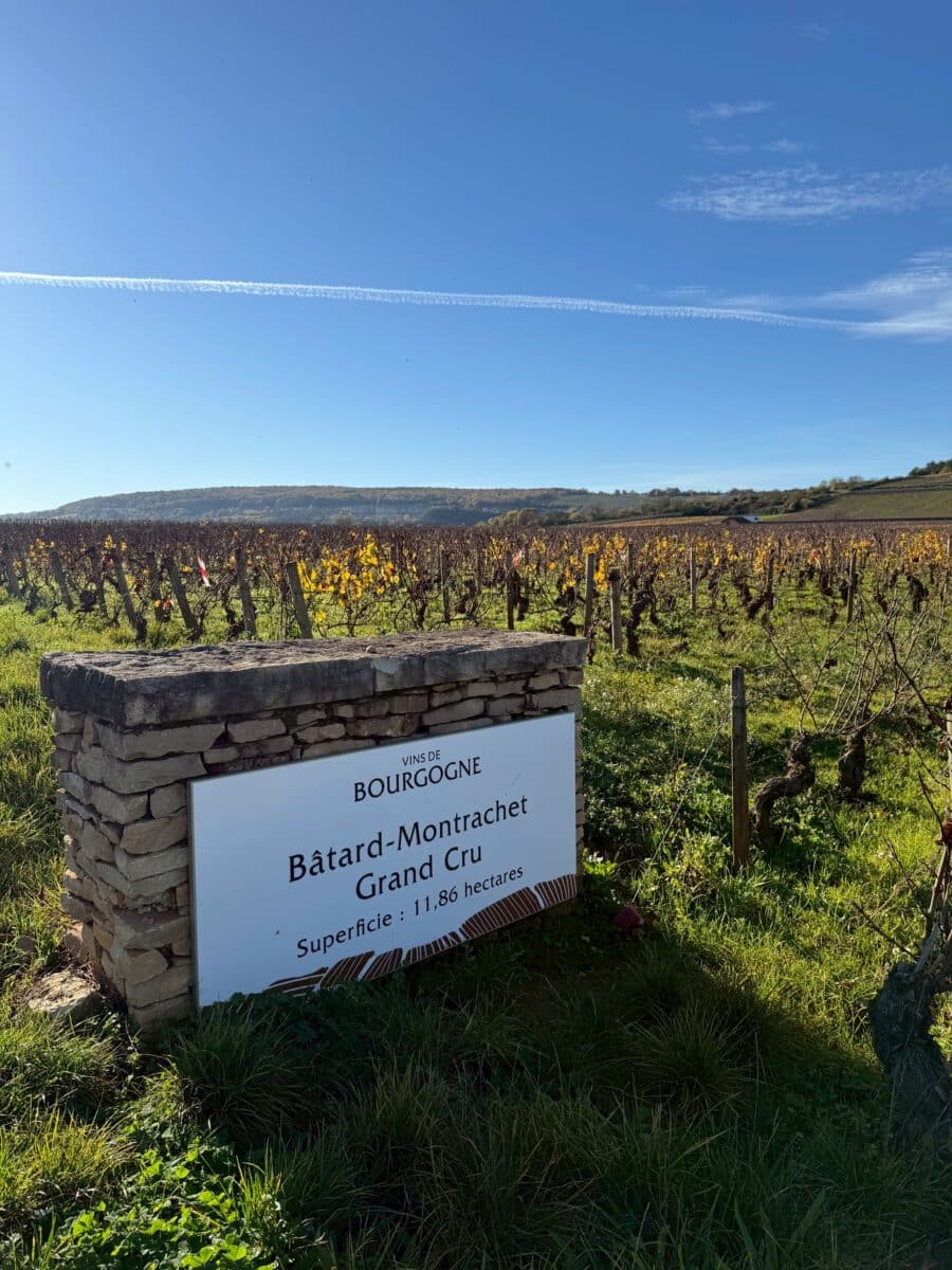 line oa chat 260111 095934