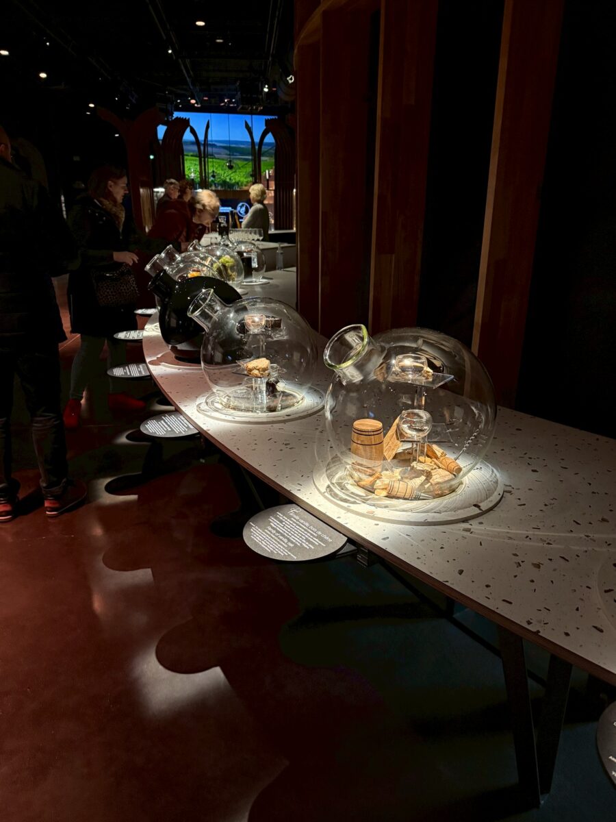 フランス6日目 ボーヌのワイン博物館 4 line oa chat 260112 104906