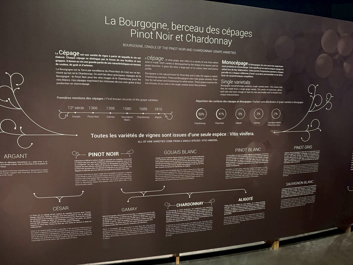 フランス6日目 ボーヌのワイン博物館 3 line oa chat 260123 110244