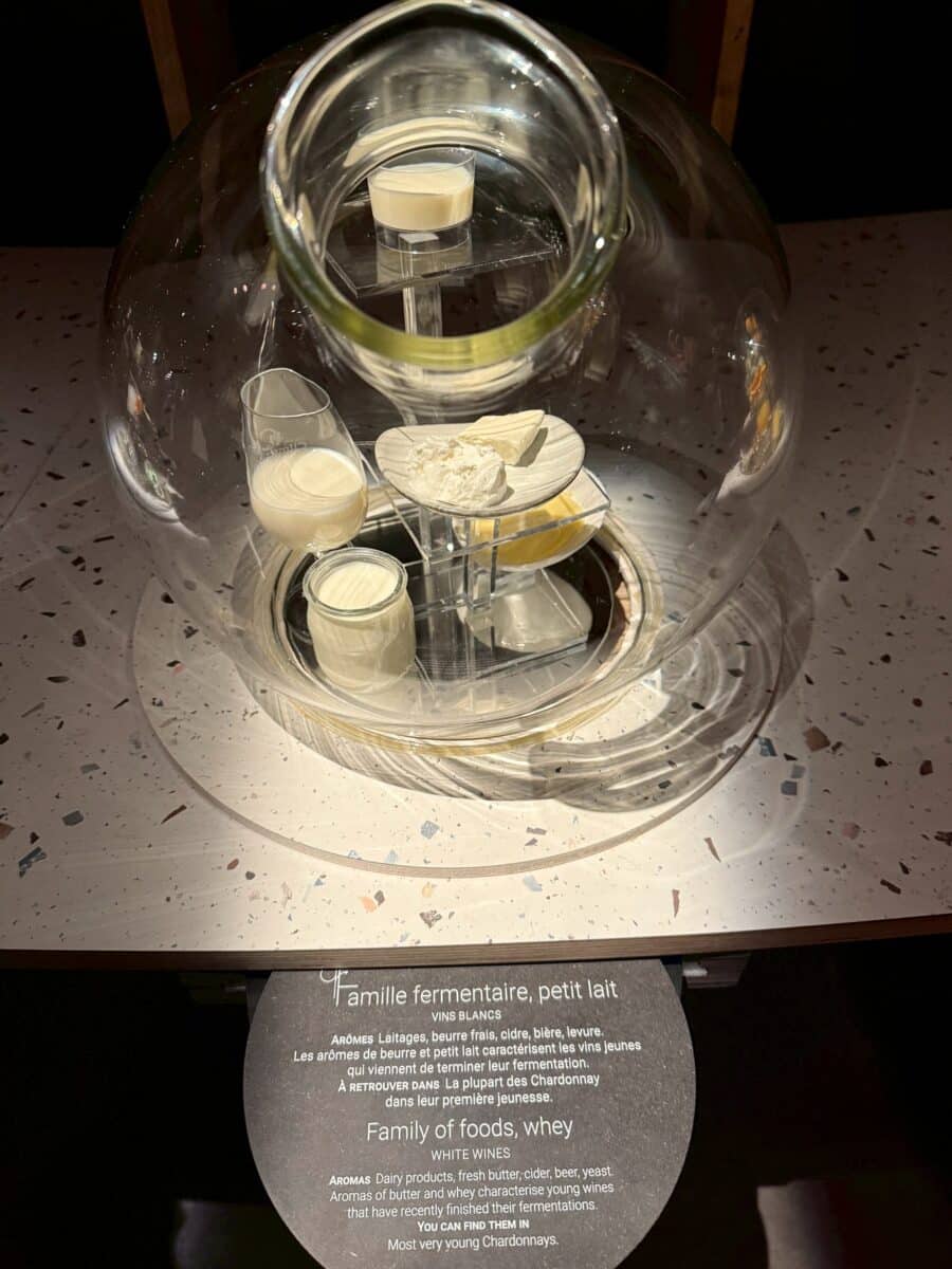 フランス6日目 ボーヌのワイン博物館 6 line oa chat 260123 110250