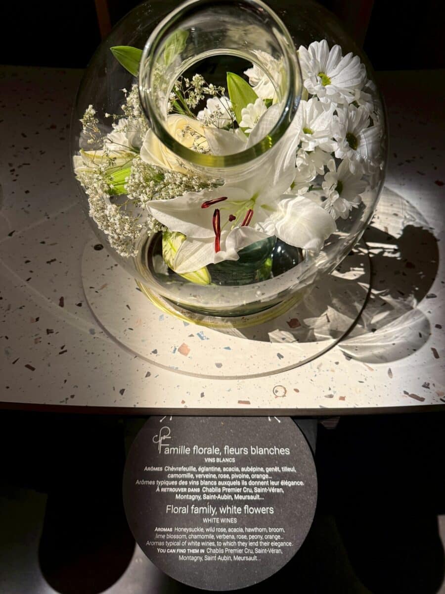 フランス6日目 ボーヌのワイン博物館 7 line oa chat 260123 110252