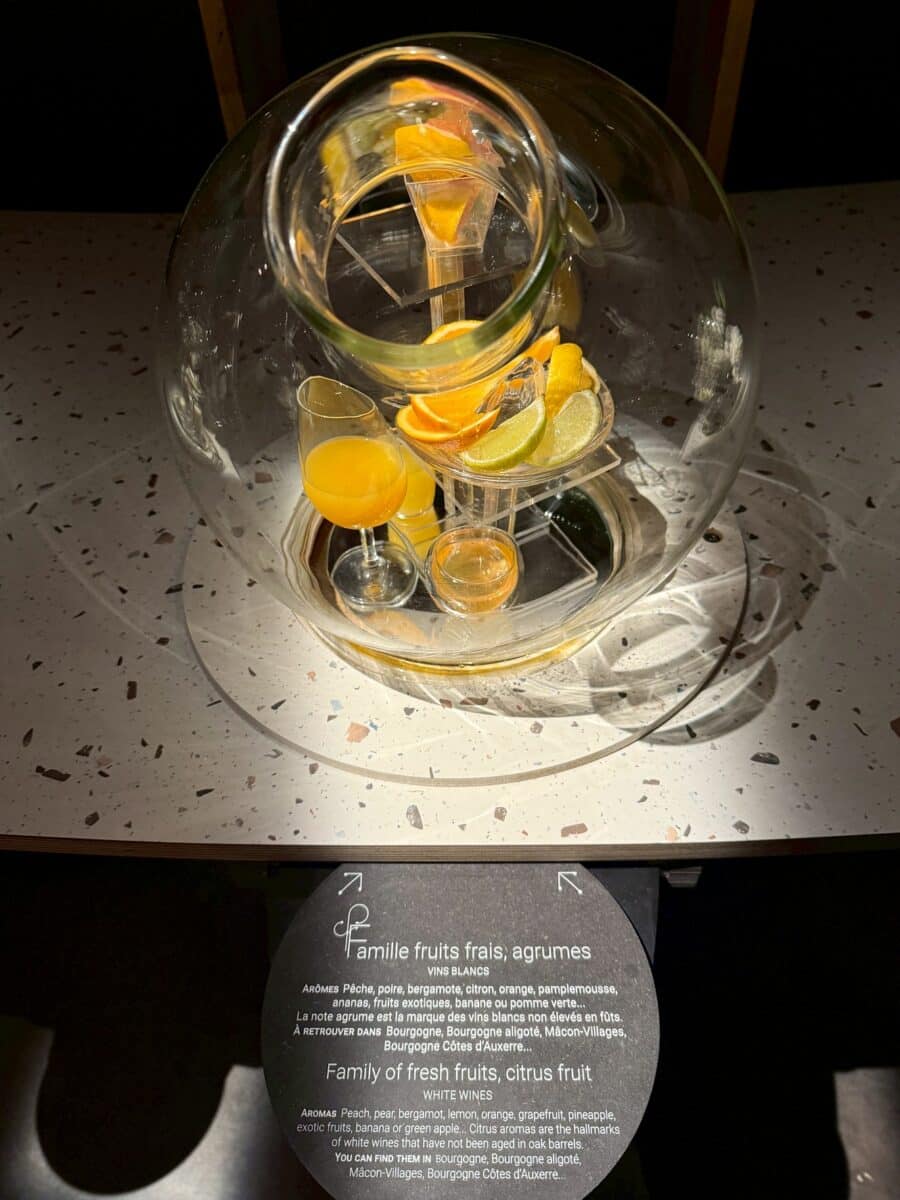 フランス6日目 ボーヌのワイン博物館 8 line oa chat 260123 110254