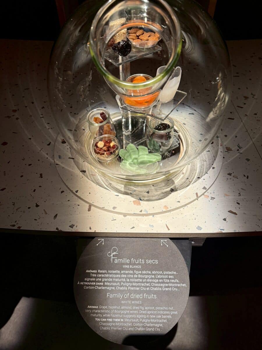 フランス6日目 ボーヌのワイン博物館 9 line oa chat 260123 110257