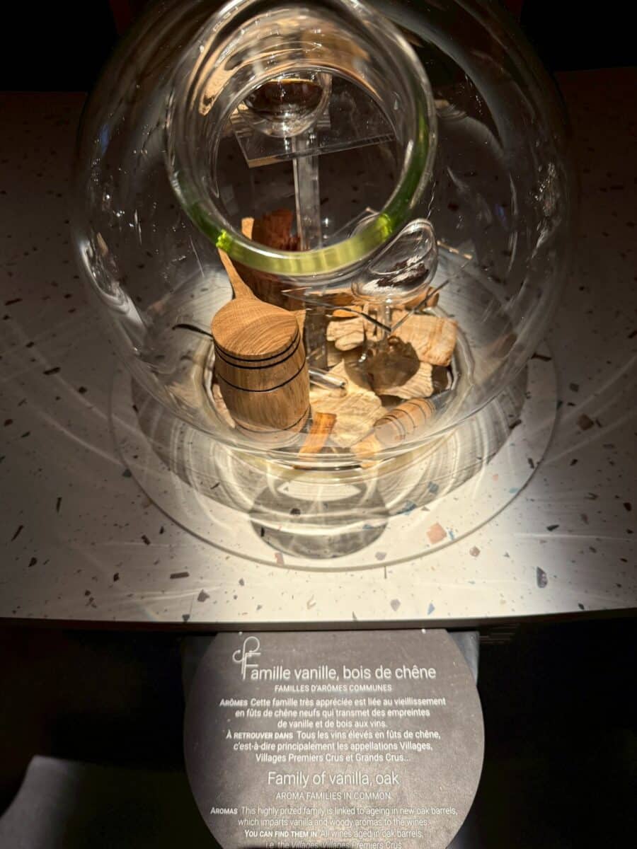 フランス6日目 ボーヌのワイン博物館 11 line oa chat 260123 110304
