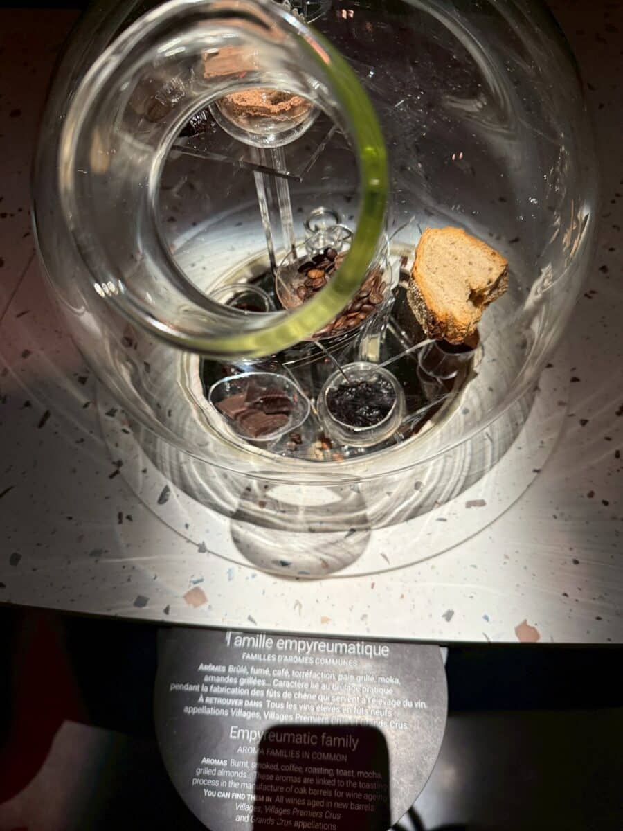 フランス6日目 ボーヌのワイン博物館 12 line oa chat 260123 110306