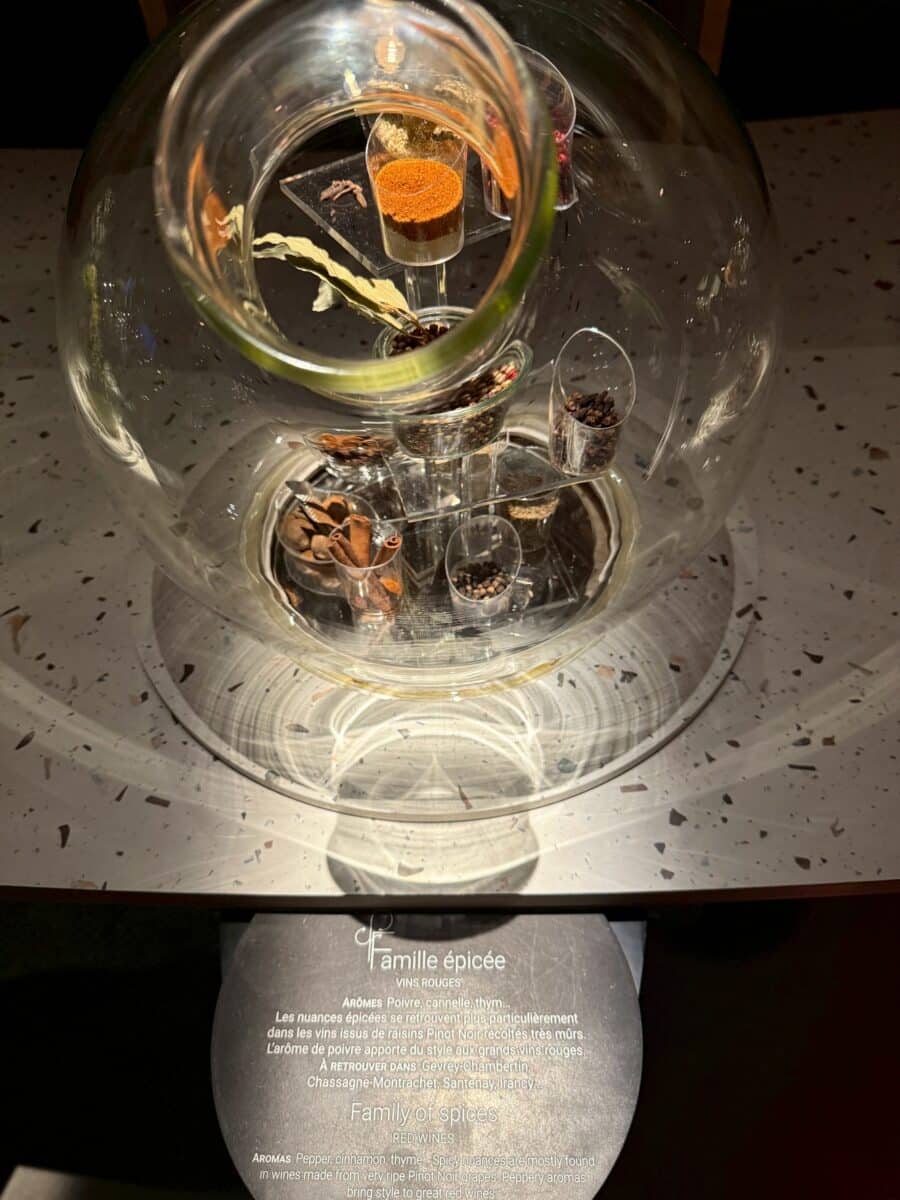 フランス6日目 ボーヌのワイン博物館 14 line oa chat 260123 110310