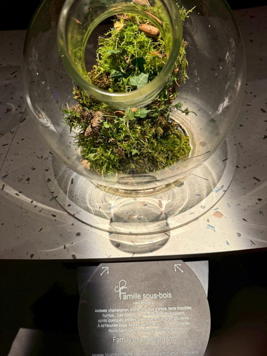 フランス6日目 ボーヌのワイン博物館 15 line oa chat 260123 110312 1