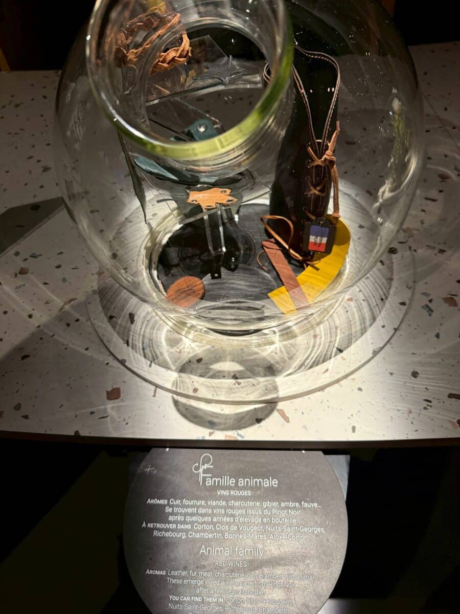 フランス6日目 ボーヌのワイン博物館 16 line oa chat 260123 110314