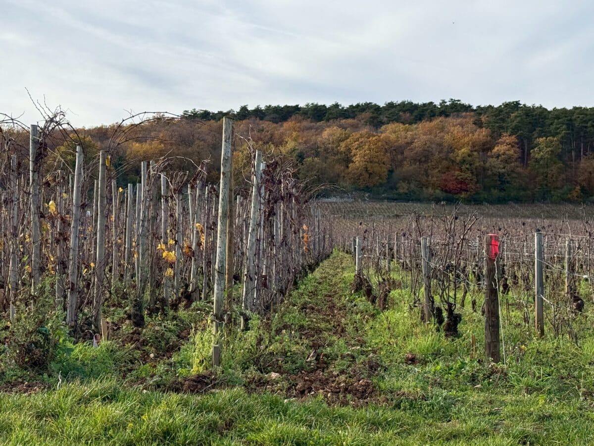 line oa chat 260128 122446