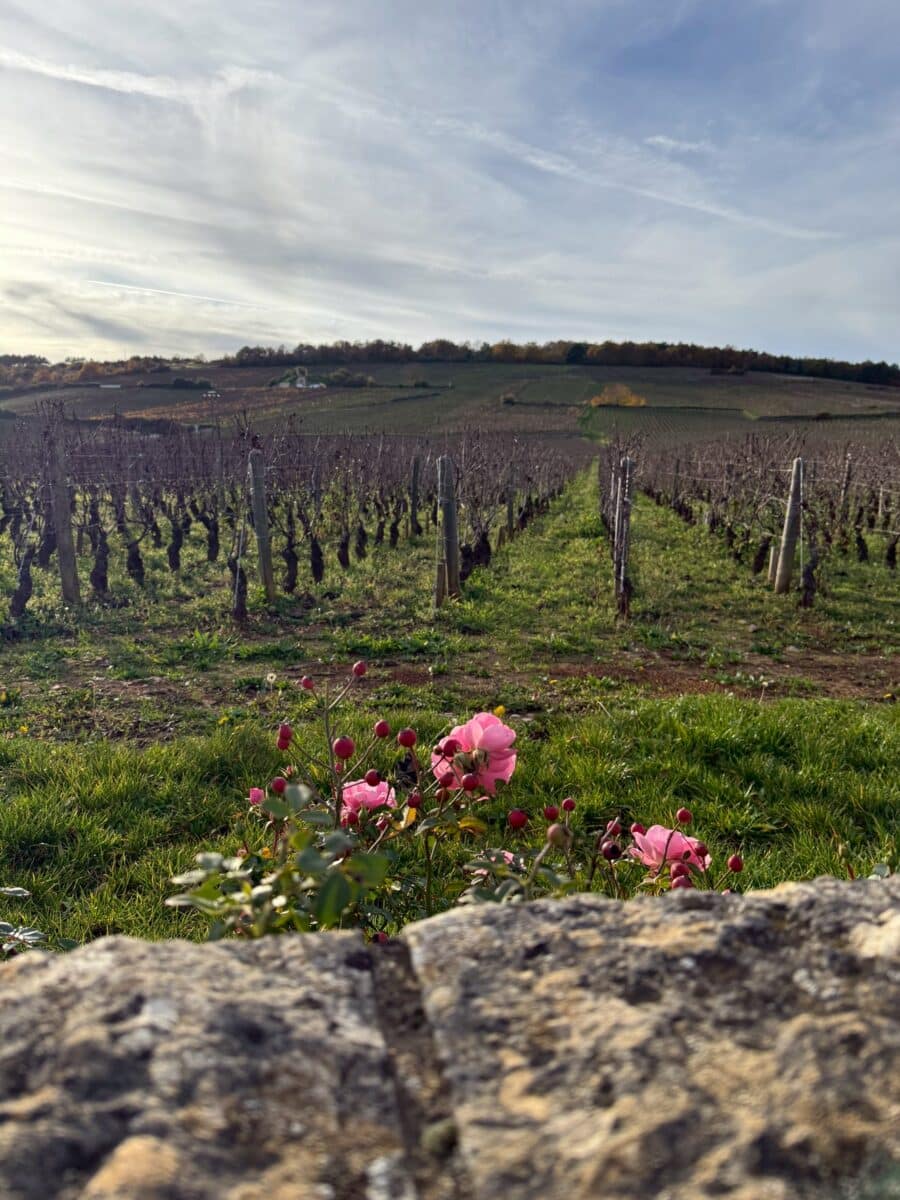 line oa chat 260128 123202