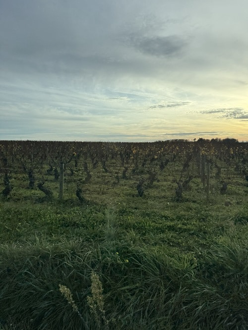 フランス旅 7日目 パリへ 2 1