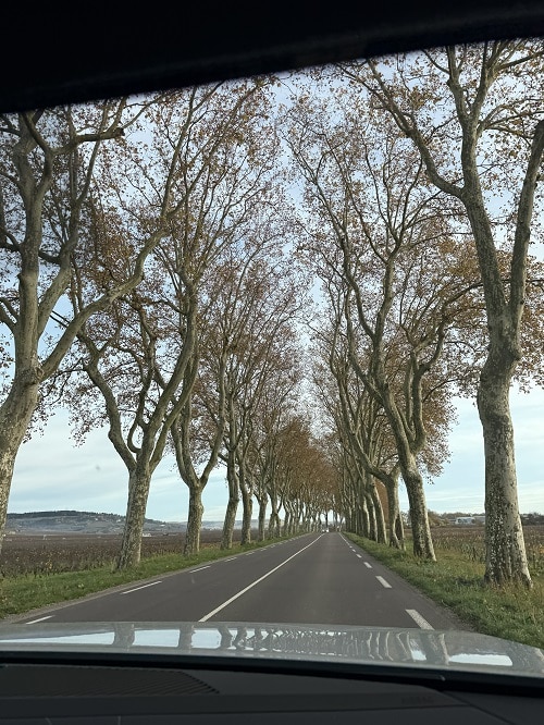 フランス旅 7日目 パリへ 1 top